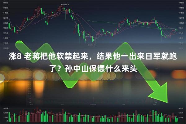 涨8 老蒋把他软禁起来，结果他一出来日军就跑了？孙中山保镖什么来头