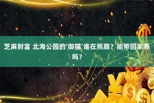 芝麻财富 北海公园的‘御猫’谁在照顾？能带回家养吗？