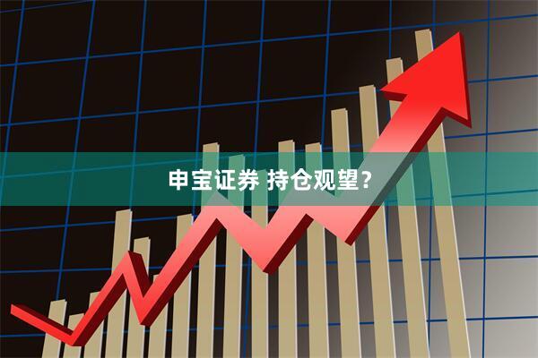 申宝证券 持仓观望？
