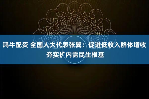 鸿牛配资 全国人大代表张翼：促进低收入群体增收 夯实扩内需民生根基