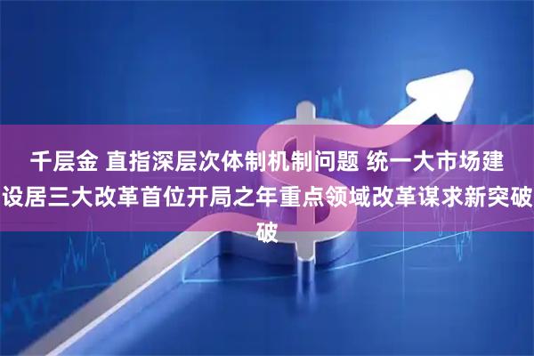 千层金 直指深层次体制机制问题 统一大市场建设居三大改革首位开局之年重点领域改革谋求新突破