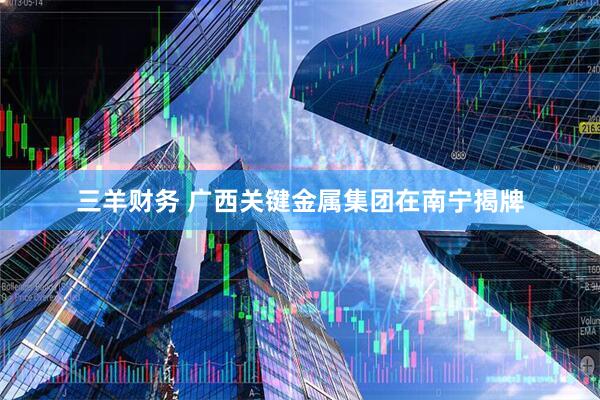 三羊财务 广西关键金属集团在南宁揭牌