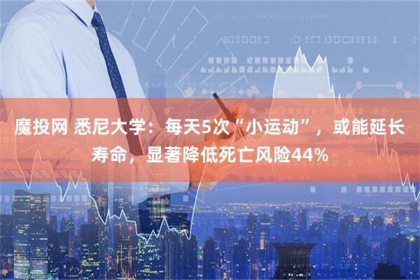 魔投网 悉尼大学：每天5次“小运动”，或能延长寿命，显著降低死亡风险44%