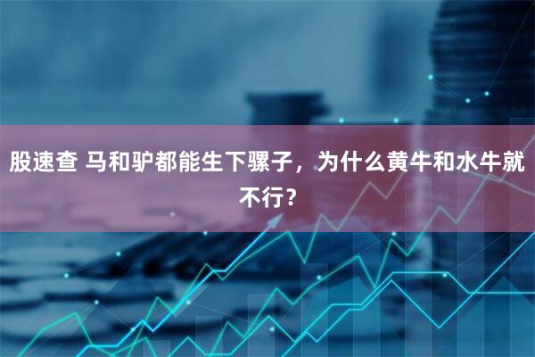 股速查 马和驴都能生下骡子，为什么黄牛和水牛就不行？