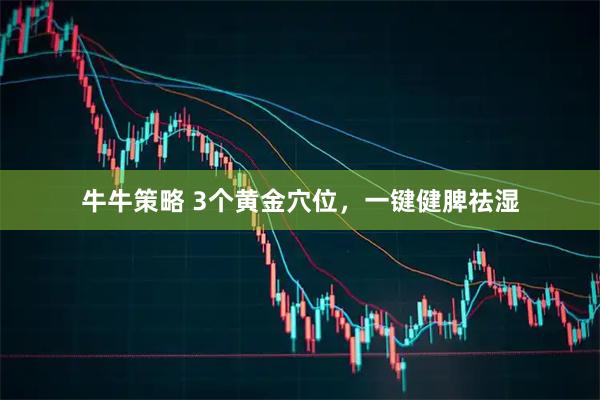 牛牛策略 3个黄金穴位，一键健脾祛湿