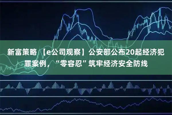 新富策略 【e公司观察】公安部公布20起经济犯罪案例，“零容忍”筑牢经济安全防线