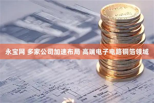 永宝网 多家公司加速布局 高端电子电路铜箔领域