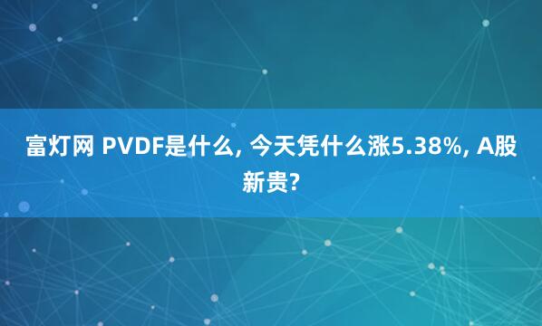 富灯网 PVDF是什么, 今天凭什么涨5.38%, A股新贵?