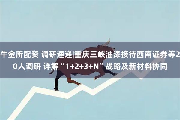 牛金所配资 调研速递|重庆三峡油漆接待西南证券等20人调研 详解“1+2+3+N”战略及新材料协同