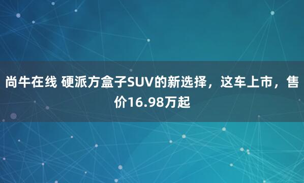 尚牛在线 硬派方盒子SUV的新选择，这车上市，售价16.98万起