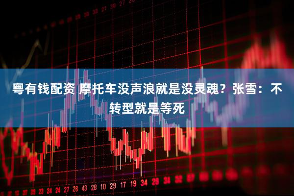 粤有钱配资 摩托车没声浪就是没灵魂？张雪：不转型就是等死