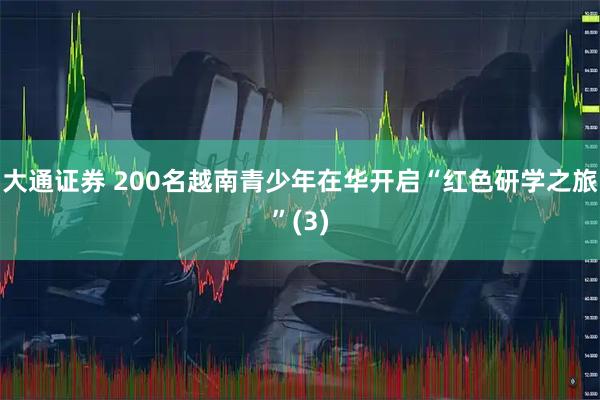 大通证券 200名越南青少年在华开启“红色研学之旅”(3)