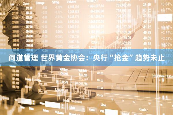 问道管理 世界黄金协会:央行“抢金”趋势未止