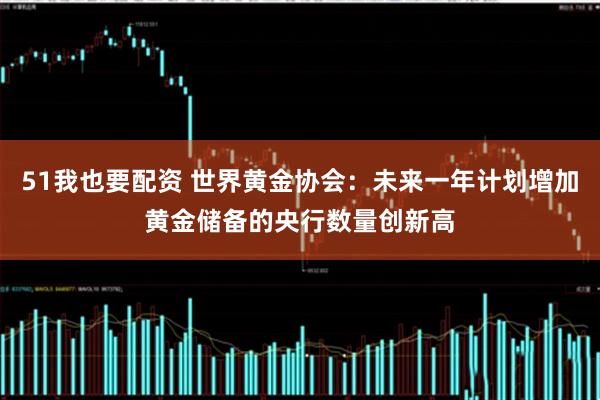 51我也要配资 世界黄金协会:未来一年计划增加黄金储备的央行数量创新高