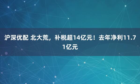 沪深优配 北大荒，补税超14亿元！去年净利11.71亿元