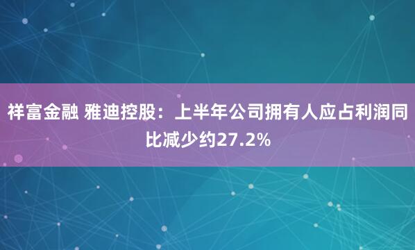 祥富金融 雅迪控股：上半年公司拥有人应占利润同比减少约27.2%